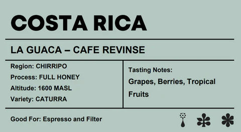 Crafters - Costa Rica | Rivense Geisha (250g)